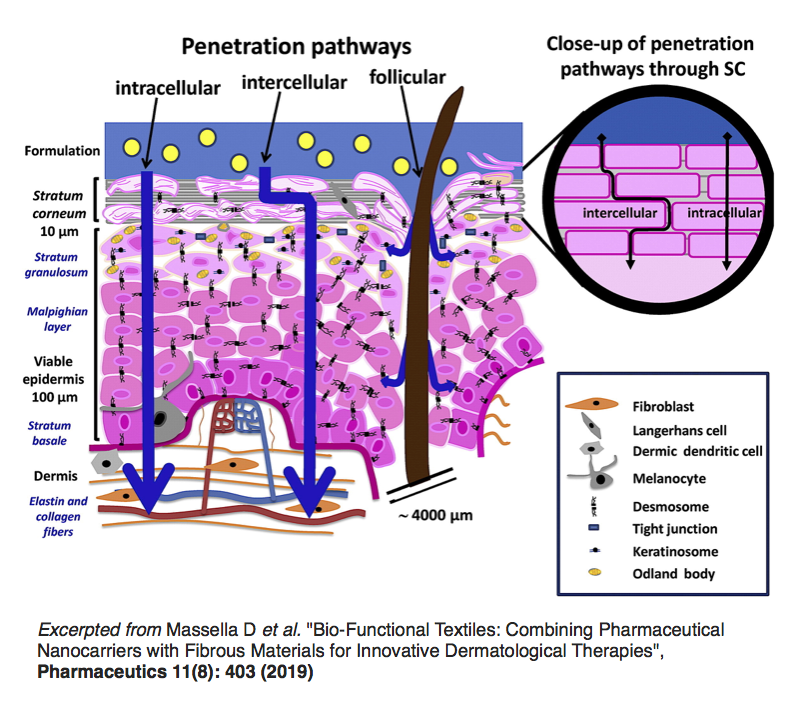 Bengal Bioscience and Walter P Drake ND discussion of transdermal medicines